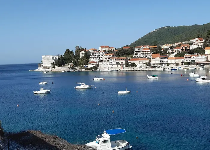 Stella Smokvica (Korcula)