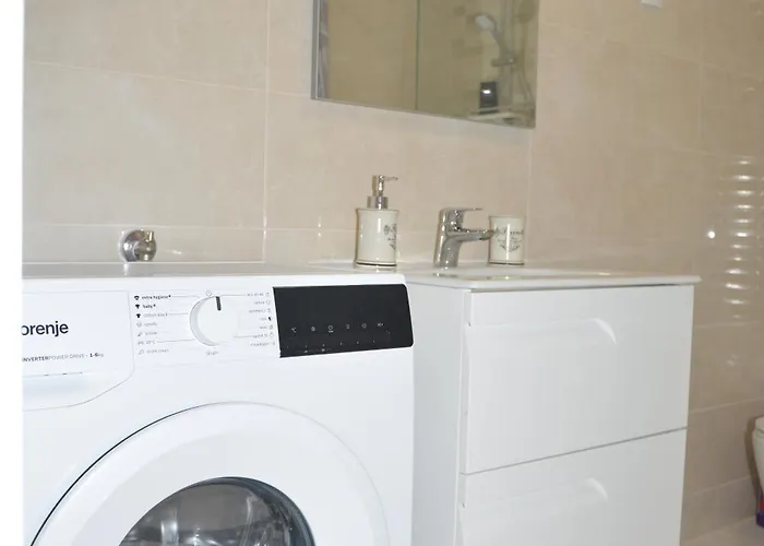 Stella Проживание в семье Смоквица