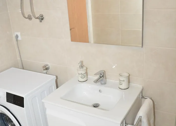 Проживание в семье Stella *