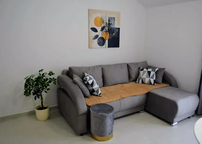 Stella Проживание в семье