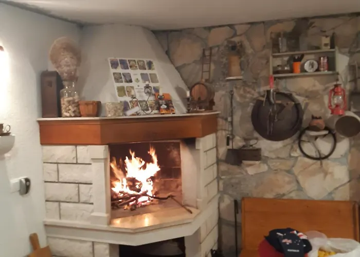 Проживание в семье Stella *