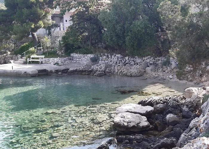 Проживание в семье Stella *